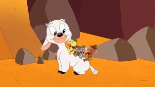 El show de Tom y Jerry. T(T5). El show de Tom y... (T5): No tan Gran Cañón