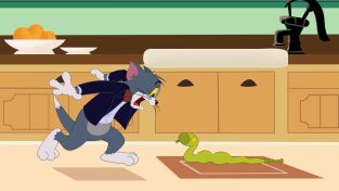 El show de Tom y Jerry. T(T5). El show de Tom y... (T5): La Mangosta Rikki Tikki