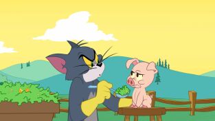 El show de Tom y Jerry. T(T5). El show de Tom y... (T5): Gran Cerdito