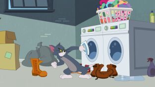 El show de Tom y Jerry. T(T5). El show de Tom y... (T5): El apartamento