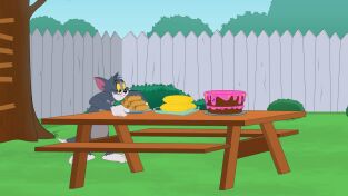 El show de Tom y Jerry. T(T5). El show de Tom y... (T5): Tom el Invisible