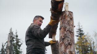 Los primeros habitantes de Alaska. Los primeros...: De la tierra