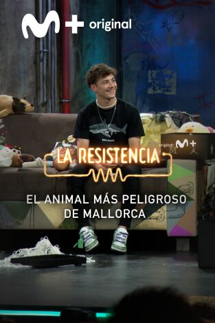 Lo + de las entrevistas de deportes. T(T6). Lo + de las... (T6): El animal más peligroso de Mallorca - 8.11.22