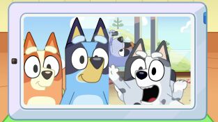 Bluey. T(T3). Bluey (T3): Charla cara a cara