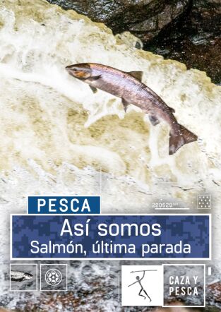 Así somos. T(T1). Así somos (T1): Salmón, última parada