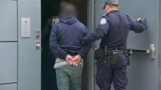 Control de aeropuertos: USA. Control de...: En el maletero de un coche