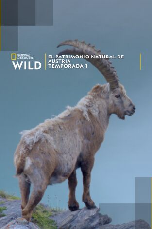 El patrimonio natural de Austria. El patrimonio natural de Austria 