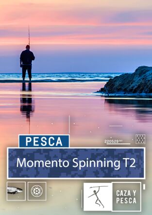 Momento Spinning