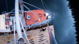 Vivir bajo cero: Port Protection Alaska. Vivir bajo cero: Port...: El oso perfecto