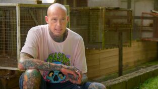 Serpientes en la ciudad. Serpientes en la ciudad: Serpientes y escaleras