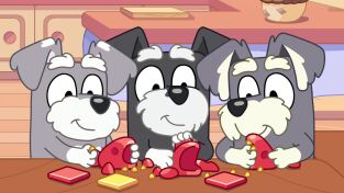 Bluey. T(T3). Bluey (T3): Magia