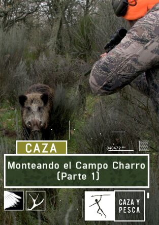 Monteando en el campo charro. 1ª parte