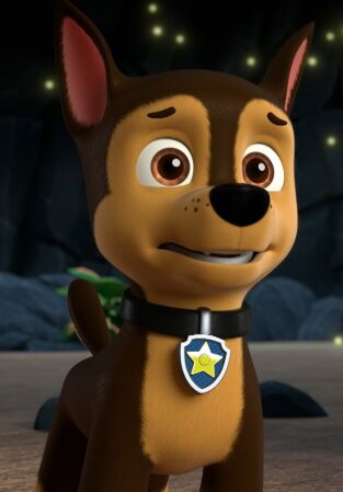 La Patrulla Canina. T(T10). La Patrulla Canina (T10): La patrulla en la selva descubre la Selva Oculta