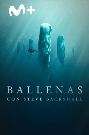Ballenas con Steve Backshall. Ballenas con Steve Backshall 