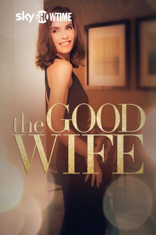 The Good Wife. T(T4). The Good Wife (T4)