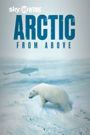 Arctic from Above