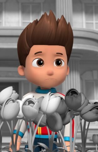 La patrulla canina. T(T10). La patrulla canina (T10): La patrulla salva a sus amigos digi-tales; La patrulla salva el arcoíris