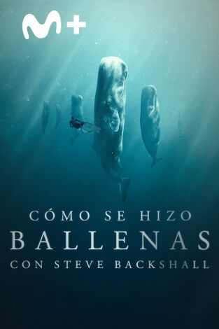 Ballenas con Steve Backshall