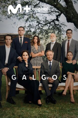 Galgos