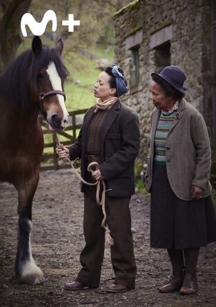 Todas las criaturas grandes y pequeñas. T(T4). Todas las... (T4): Ep.3 El ayudante