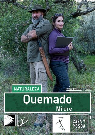 Quemado. T(T1). Quemado (T1): Mildred