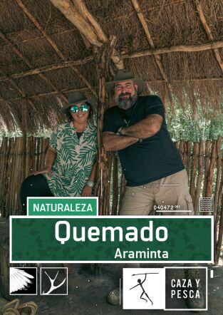 Quemado. T(T1). Quemado (T1): Araminta