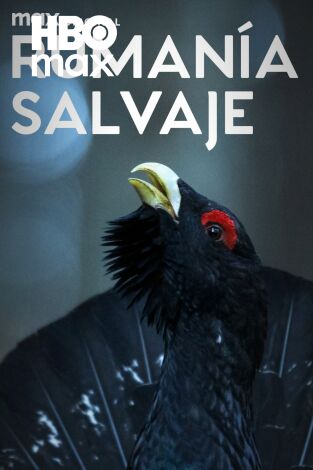 Rumanía salvaje