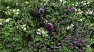 Los primeros habitantes de Alaska. Los primeros...: Una base fuerte