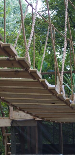 Construcciones al límite. T(T6). Construcciones al... (T6): Casa del árbol de AR Mountain