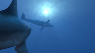 Bestias del pasado. Bestias del pasado: Basilosauros