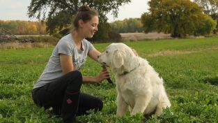 La increíble granja del Dr. Pol. La increíble granja...: Tormenta de ideas para el establo