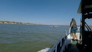 Alerta en el mar 2. Alerta en el mar 2: Patrullando en aguas turbulentas