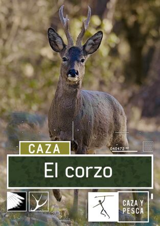 El Corzo
