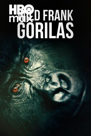 Wild Frank Gorilas