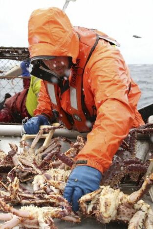 Pesca radical. Pesca radical: Ambición rubia
