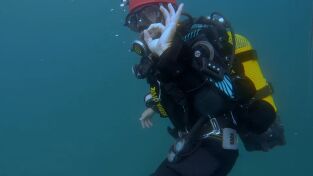 Alerta en el mar 2. Alerta en el mar 2: Alerta Bajo el Mar