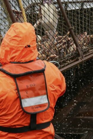 Pesca radical. Pesca radical: Capitanas