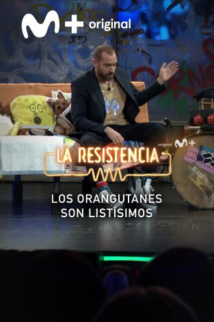 Lo + de Ponce. T(T7). Lo + de Ponce (T7): Doctor Orangután 29.05.24