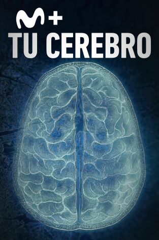 Tu cerebro. Tu cerebro: La percepción