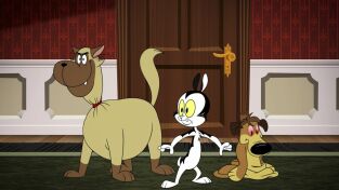 Bunnicula. T(T3). Bunnicula (T3): A flor de piel