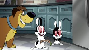 Bunnicula. T(T3). Bunnicula (T3): ¡Hermano!