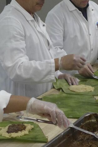 Reformas en Charleston. T(T1). Reformas en... (T1): La resurrección de la cocina