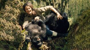 Mujeres Que Cambiaron El Mundo. Mujeres Que Cambiaron...: Jane Goodall: La gran esperanza