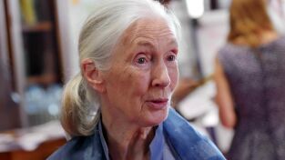 Mujeres que cambiaron el mundo. Mujeres que cambiaron...: Jane Goodall: La gran esperanza