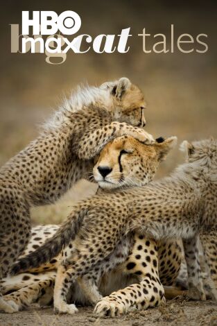 Grandes felinos