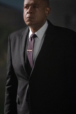 El padrino de Harlem. T(T2). El padrino de Harlem (T2): Ep.2 Pica como una abeja