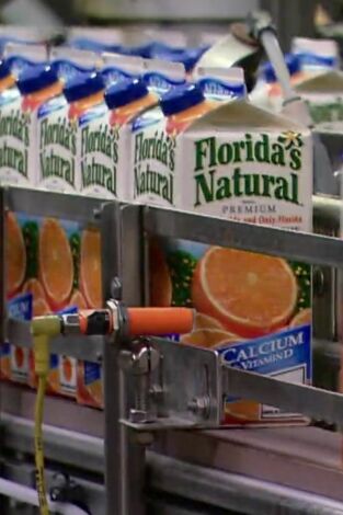 ¿Cómo lo hacen?. ¿Cómo lo hacen?: Zumo anual y doblar vidrio