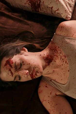 Asesinato perfecto. Asesinato perfecto: The Bedroom Basher