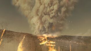 Catástrofe. Catástrofe: El fuego del infierno en Portugal