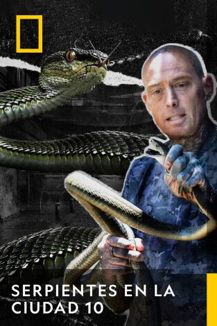 Serpientes en la ciudad. Serpientes en la ciudad 